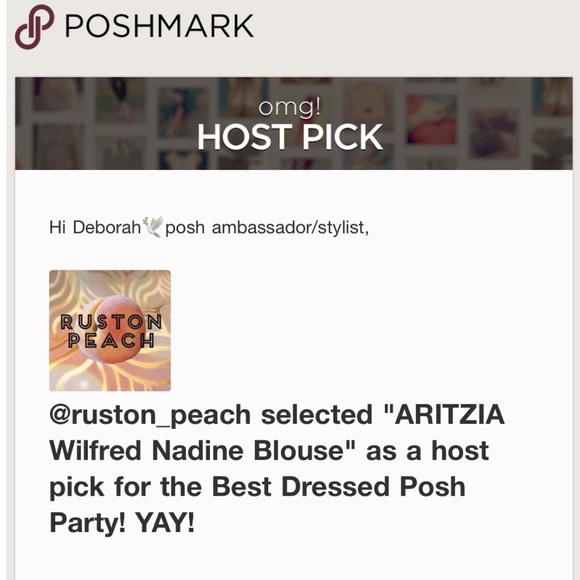 ARITZIA Wilfred Nadine Blouse - Picture 7 of 9